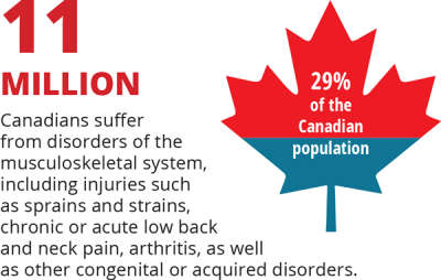 11 million Canadians suffer from disorders of the musculoskeletal system