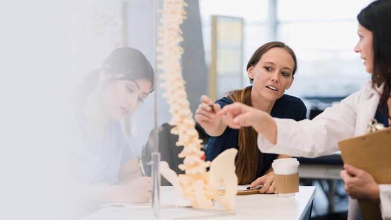 Healthcare professionals studying the human spine anatomy model