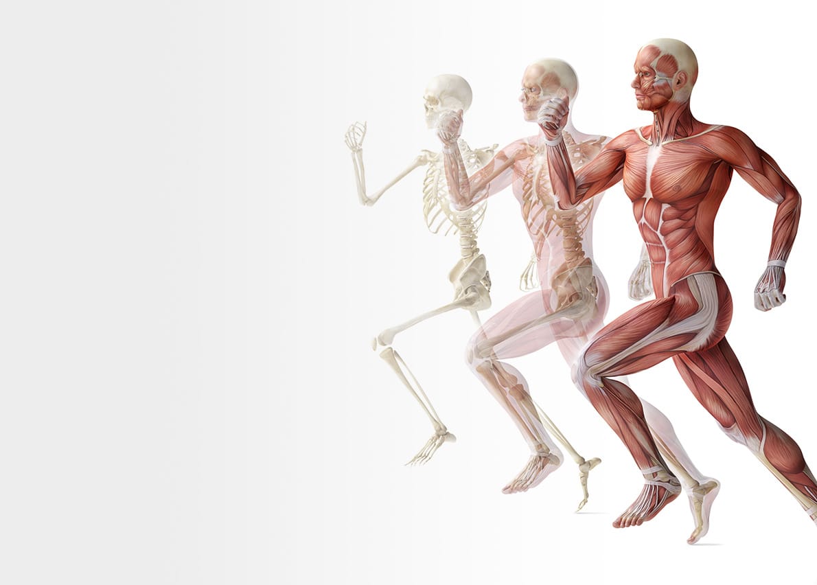 Anatomy of a man running